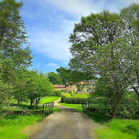 Old Orchard Cottage, Wykeham Scarborough Exterior foto